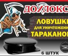 Jak si vybrat švábový past nebo udělat sami